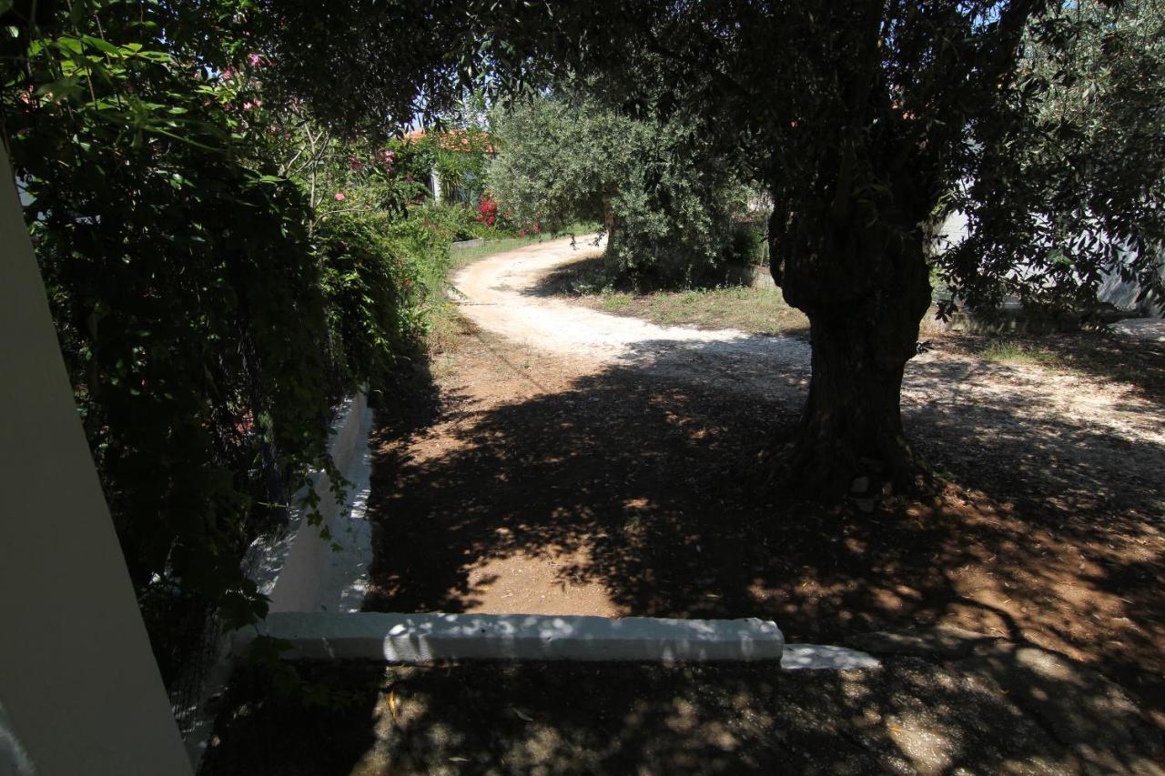 Joanna'S House Villa สกาลา กัลลีราคิส ภายนอก รูปภาพ